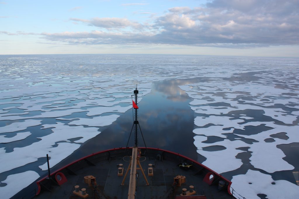 Melting polar ice will have global economic and environmental ramifications : NASA Goddard/Kathryn Hansen