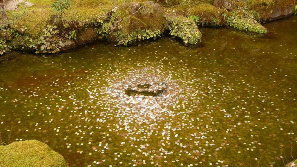 The Japanese Yen pond: where small currency goes to die. : Adrian Ulrich/Flickr