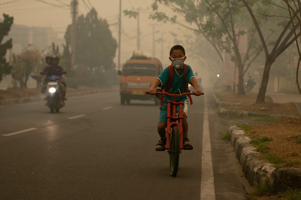Smoke haze from forest fires can have economic impacts : Aulia Erlangga/CIFOR