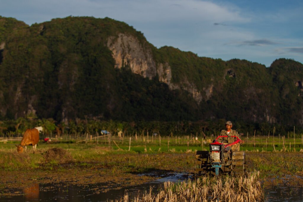 A farmer plows in Pangkajene, South Sulawesi Indonesia : Tri Saputro/CIFOR
