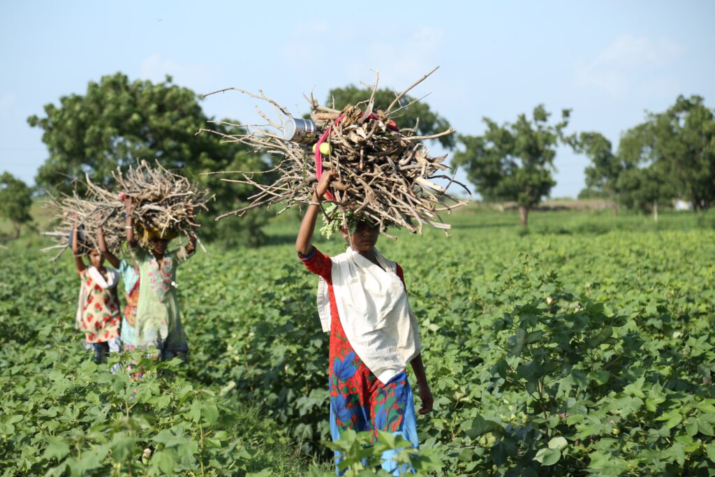 Women engaging in rural work in Maharashtra, India. : Gyan Shahane, Unsplash CC BY 4.0