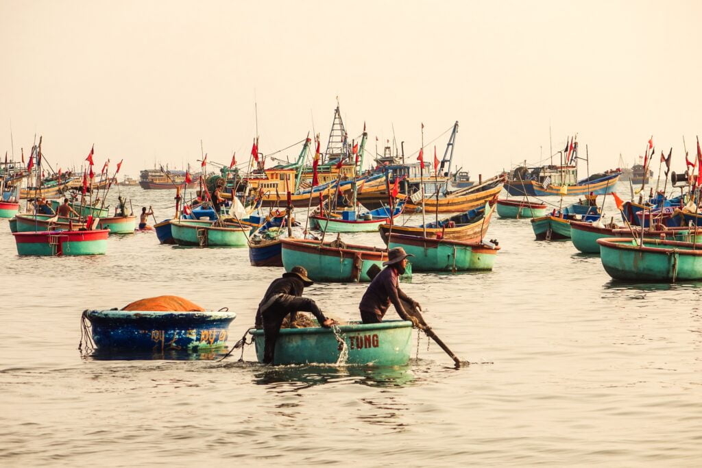 The root causes of overfishing extend well beyond the amount of boats in the water. : Serg Zhukov, Unsplash CC BY 4.0 (https://unsplash.com/photos/fNrCZRWuZD0)