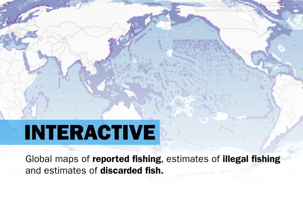 Interactive: Global maps of reported fishing, estimates of illegal fishing and estimates of discarded fishing. : James Goldie, 360info CC BY 4.0