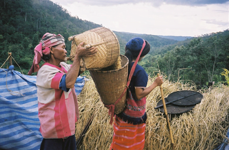 Fallow system sustains life for Karen villagers : “Farmers carry rice products to their barn” by Taworn Kampholkul DISAC (Diocese Social Action Center) is available at https://bit.ly/3Wf8ROJ CC BY 2.0