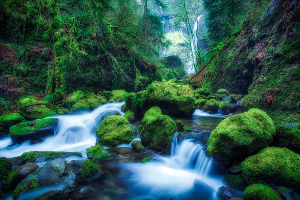 Hypnosis can be workable as part of a holistic treatment regime to deal with pain. : Elowah Falls by Michael Matti available at https://bit.ly/3iu43GH CC BY-NC 2.0