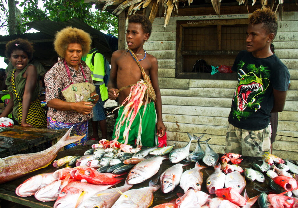 Sustainable fisheries provide greater food security for future generations. : Richard Nyberg, USAID CC BY-NC 2.0
