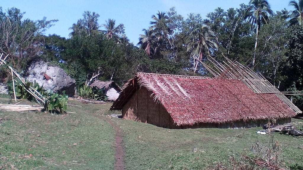 Most villages in north Pentecost have traditional buildings known as gamali with thatch roofs that extend to the ground and are less likely to fly off in high winds. : Tabisini CC4.0