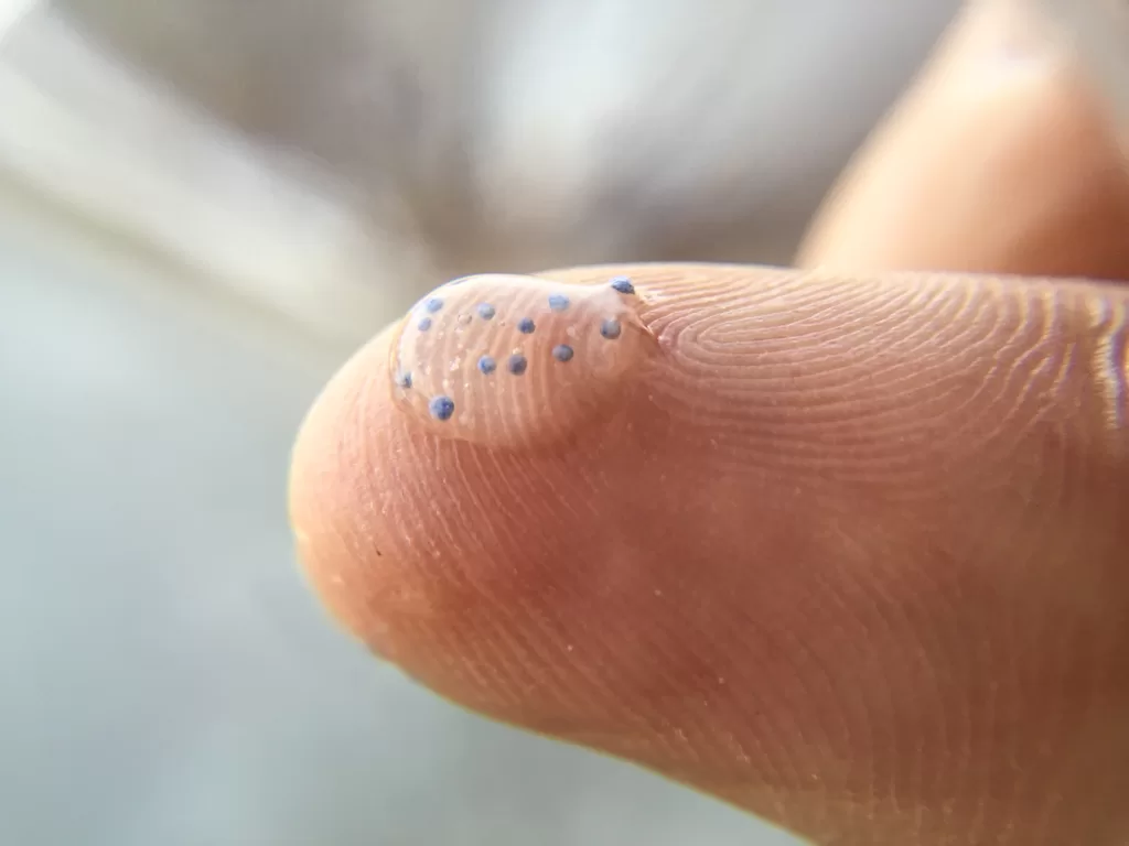 Microplastics enter our bodies in various ways with the top contributor being bottled drinking water. : Microbeads plastic particles by MN Pollution Control Agency is available at https://bit.ly/40lIjhC CC BY-NC 2.0
