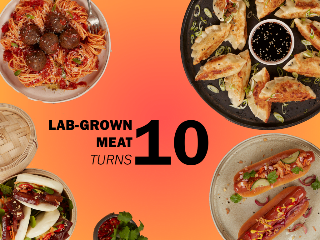 Lab-grown meat turns 10 : James Goldie, 360info CC BY 4.0
