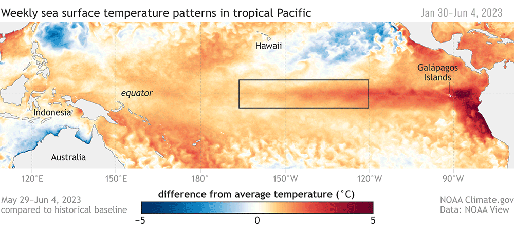 During an El Niño there are warmer than average sea surface temperatures in the equatorial eastern Pacific. : NOAA Climate.gov CC BY 4.0
