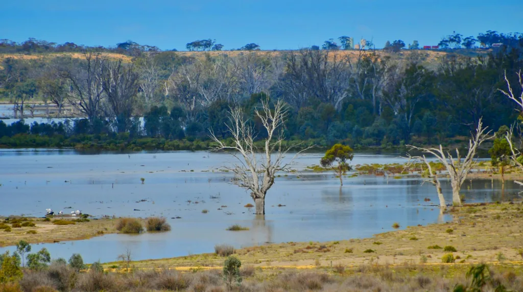 Plans to protect the Murray-Darling Basin have not lived up to their potential. : John Morton, Flickr CC BY 2.0 (https://creativecommons.org/licenses/by-sa/2.0/)