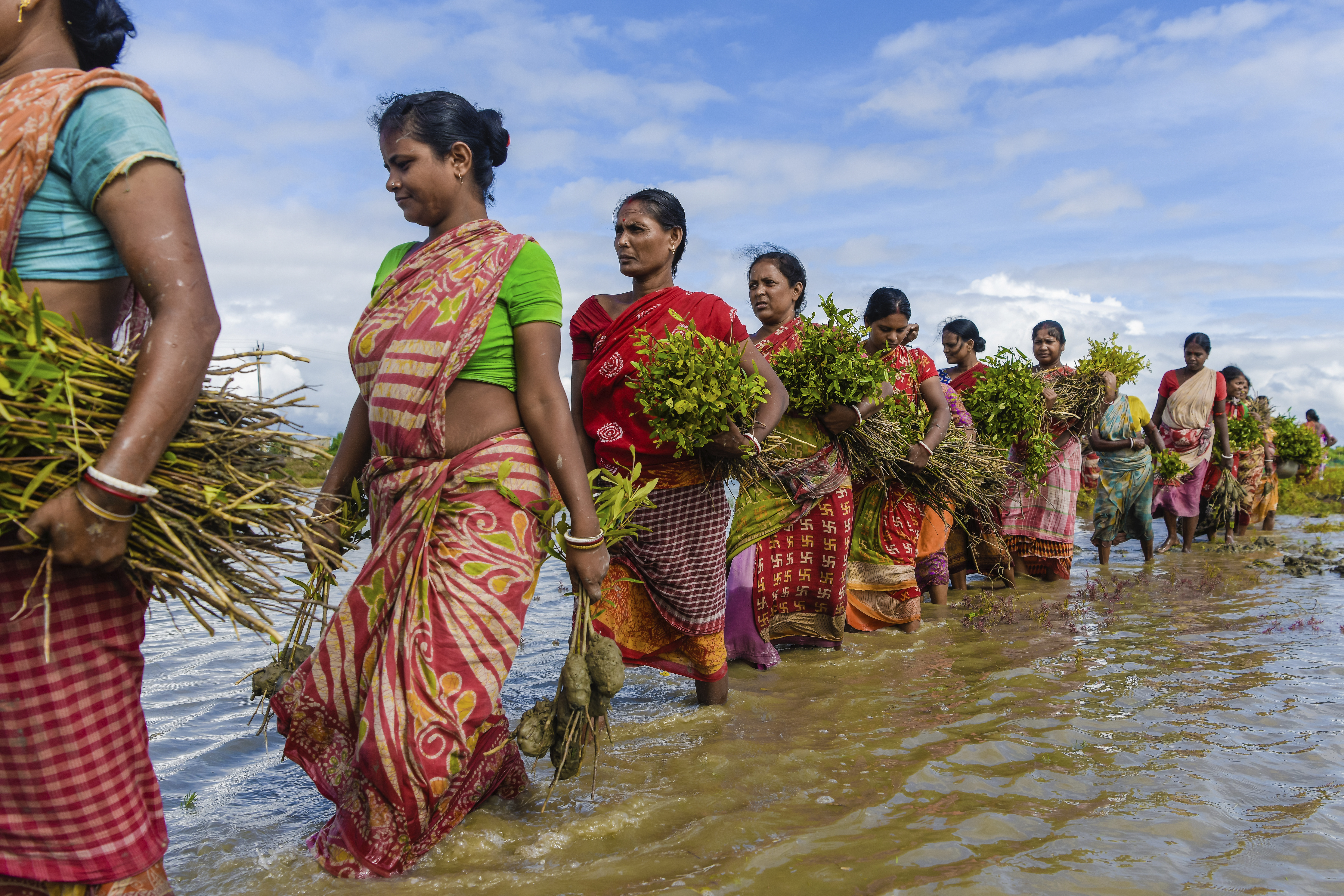 Women queue to plant mangrove saplings along the riverbanks of the Matla river in Sundarbans, India as part of efforts to combat the impacts of climate change. : Avijit Ghosh / Climate Visuals CC BY-NC-ND 4.0