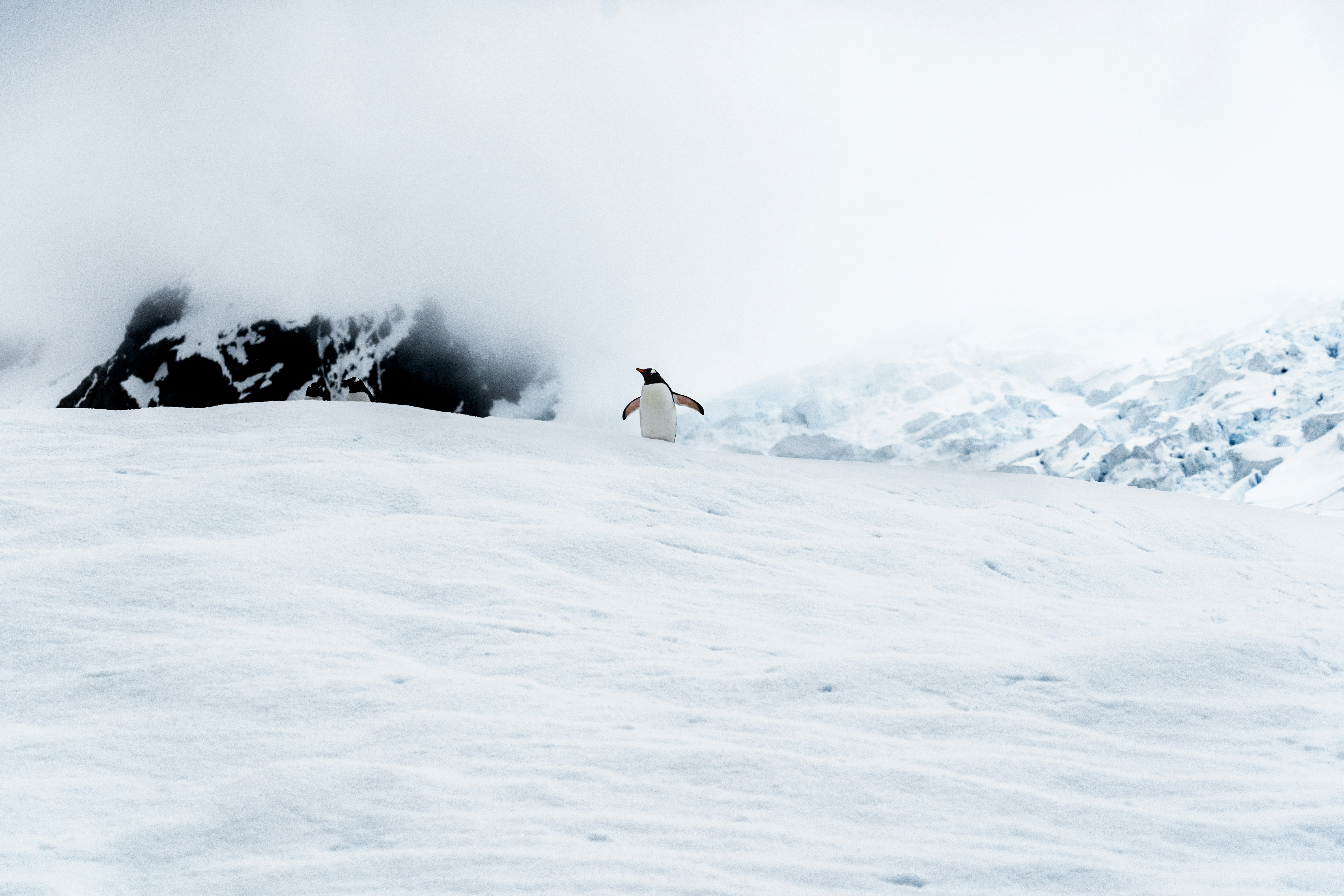 Antarctica is the last unmined frontier on Earth but could that soon change? : Unsplash: James Eades Unsplash Licence