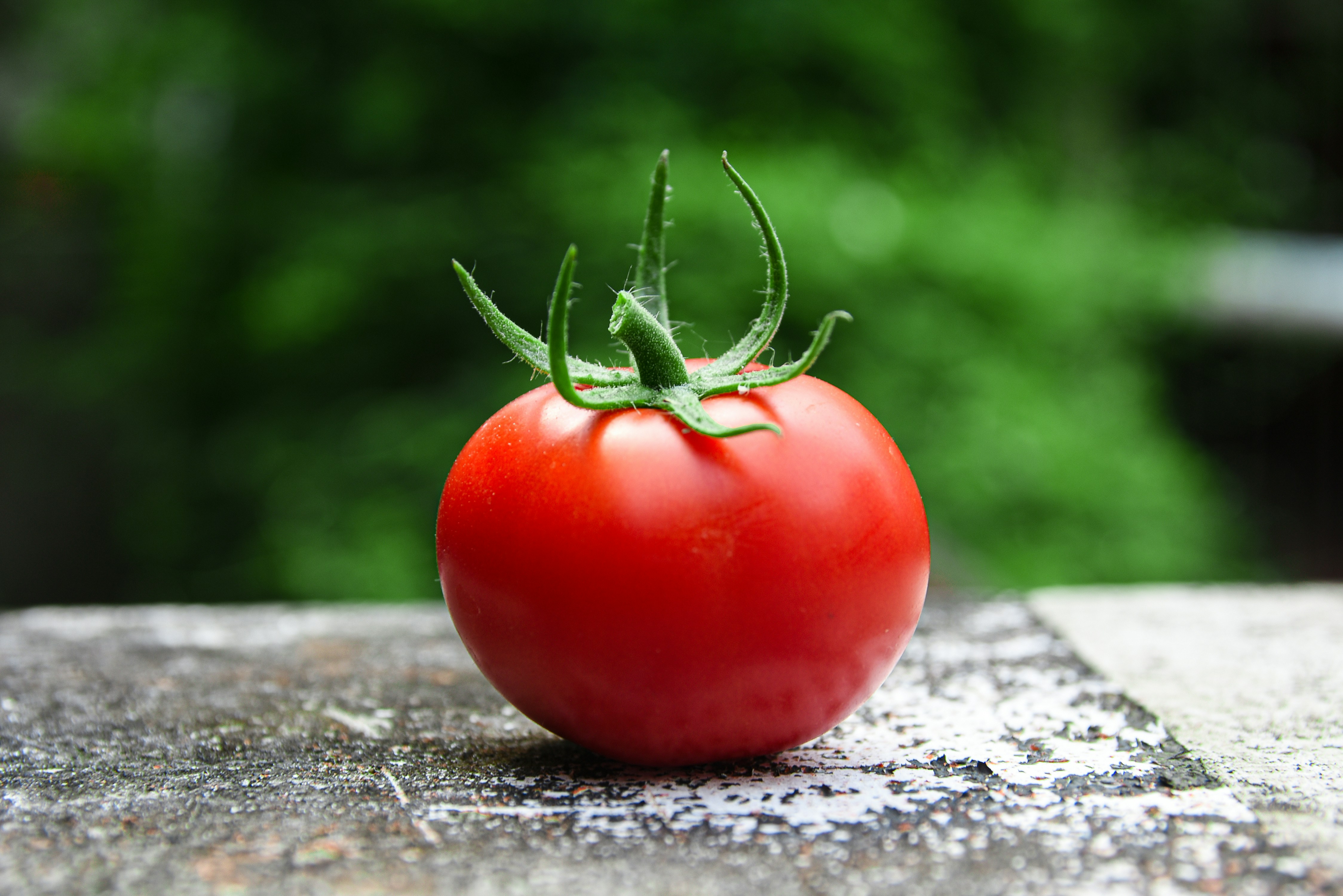 Locally grown tomatoes can have a higher environmental impact if grown in heated greenhouses. : Unsplash: Avin CP Unsplash Licence
