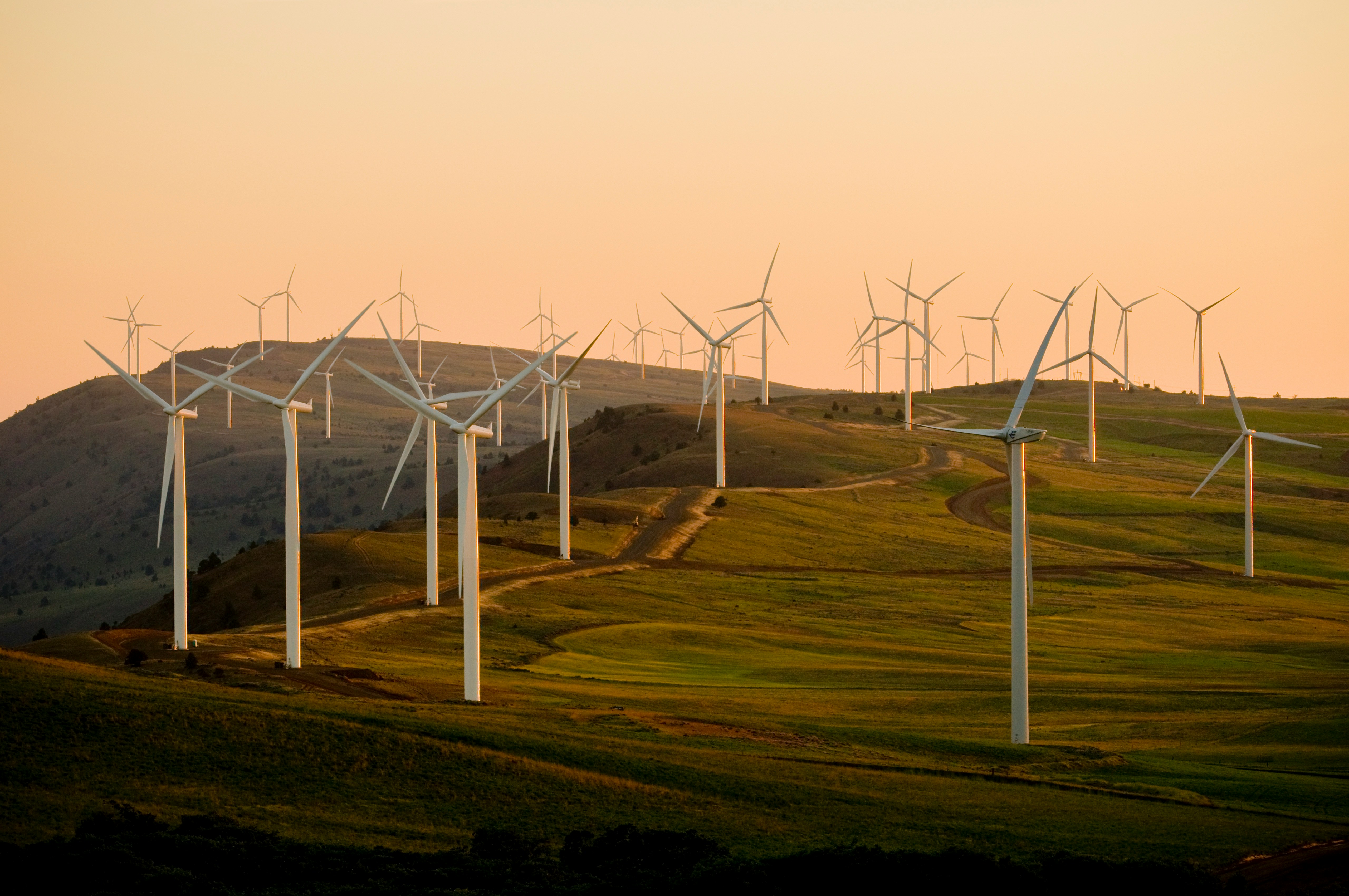 The amount of energy generated from wind and other decarbonised technologies is growing at exponential rates. : Unsplash: American Public Power Association Unsplash Licence