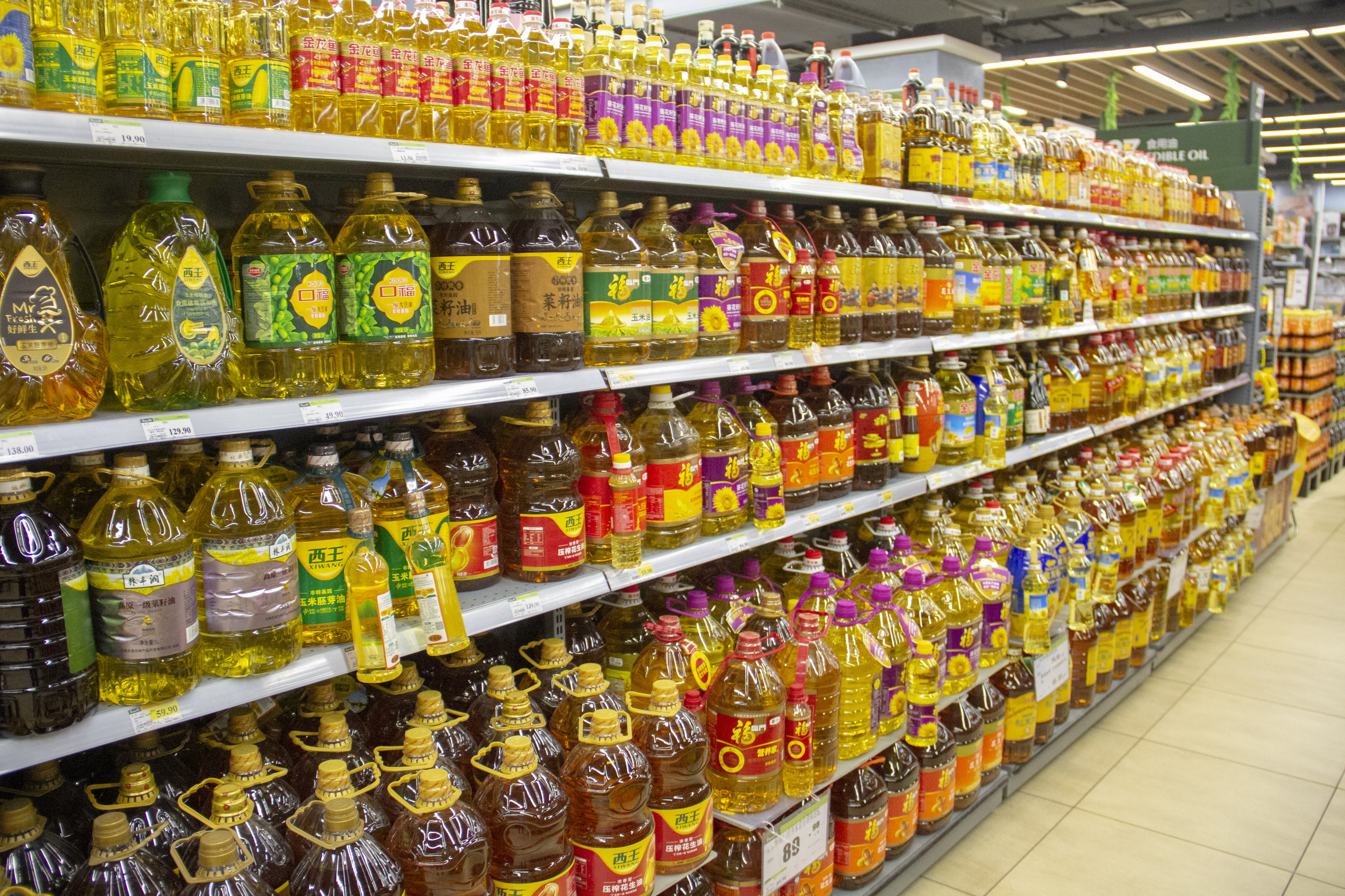 Vegetable oils such as palm oil are essential for diets, but come with environmental costs. : Wikimedia Commons CC BY-SA 4.0