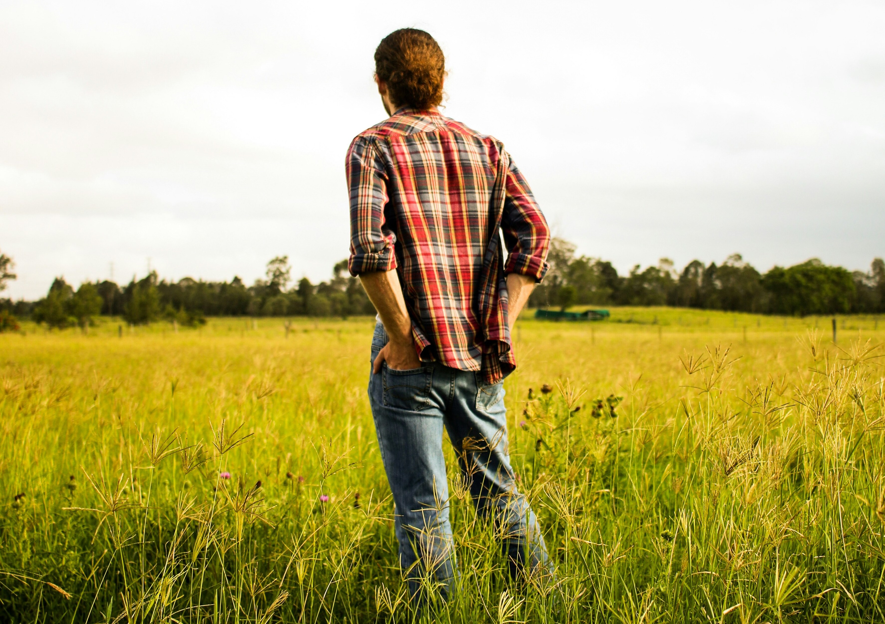 The suicide rate for Australian farmers is almost 59 percent higher than the general population, and research has confirmed a link between farmer suicides and extreme weather. : Unsplash: Jayden Staines Free to use