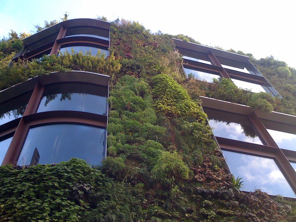 Living green walls not only provide natural cooling, improve air quality, and enhance biodiversity in densely built areas, they also offer aesthetic and emotional value. : Kaldari Public Domain