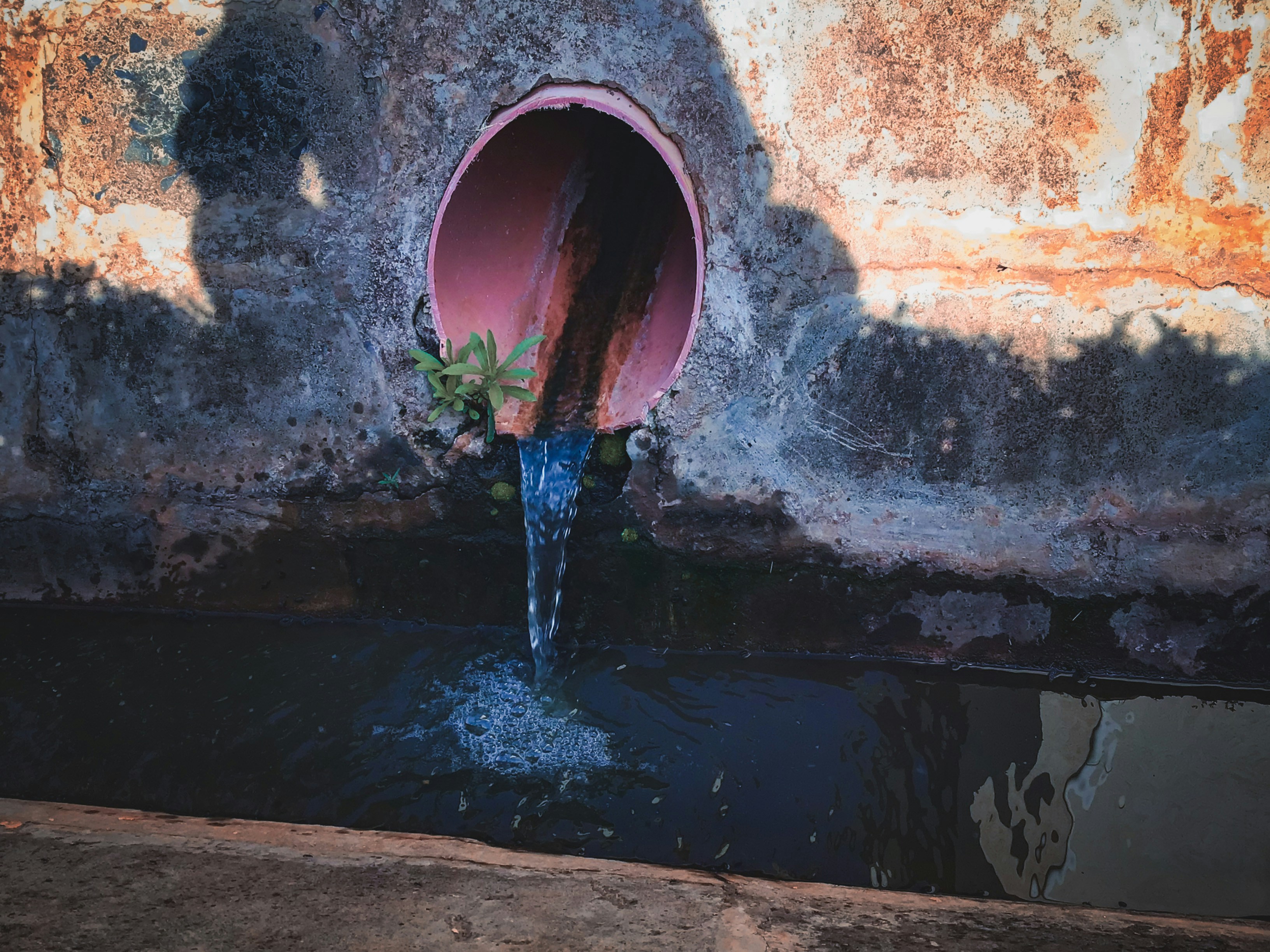 Around 80 percent of the world’s wastewater, which could be recycled, is released into the environment untreated. : TRG/Unsplash Unsplash license