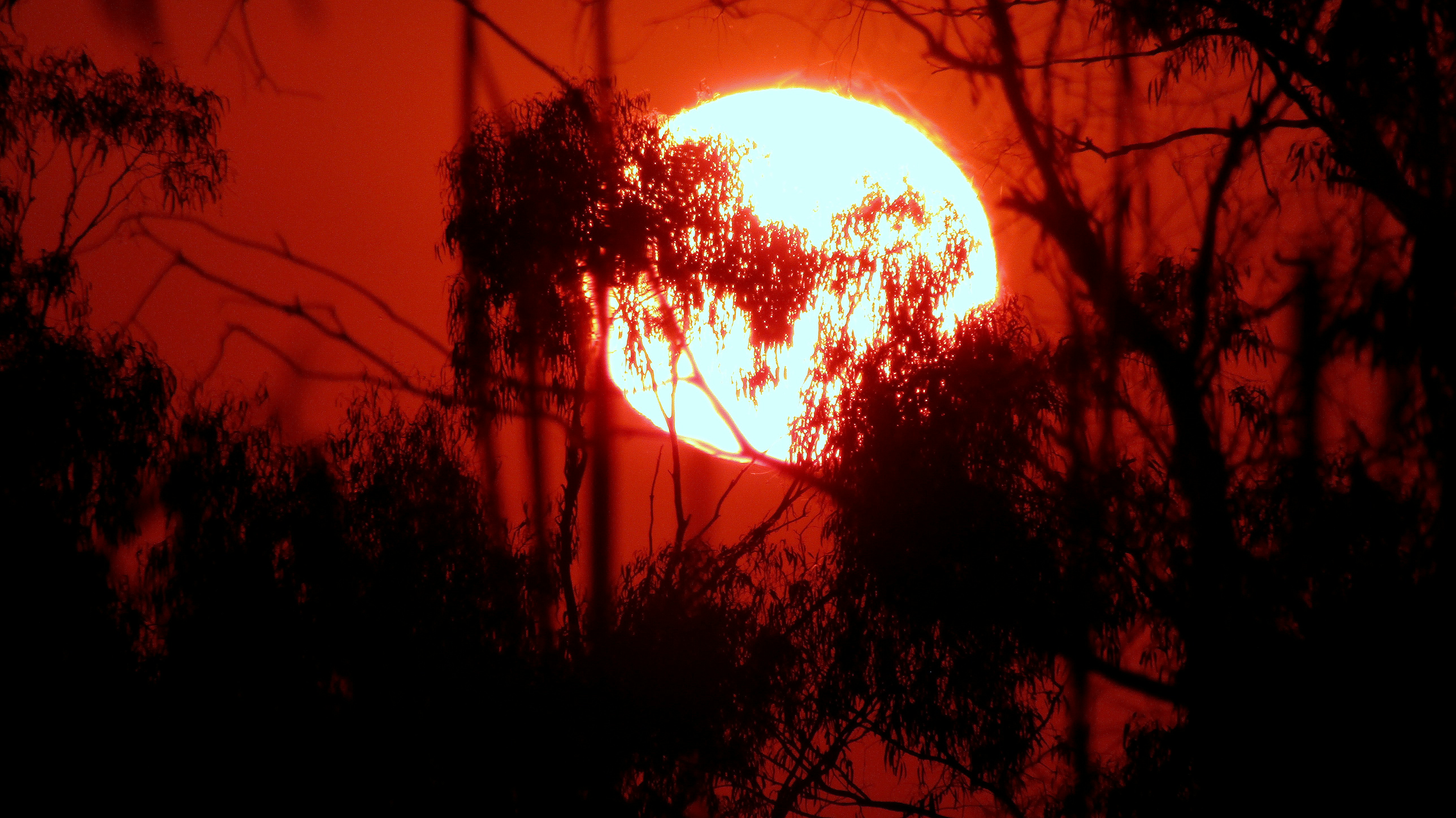 Australia’s warming climate has led to more very hot days during the summer months. : Unsplash: Craig Manners Unsplash Licence